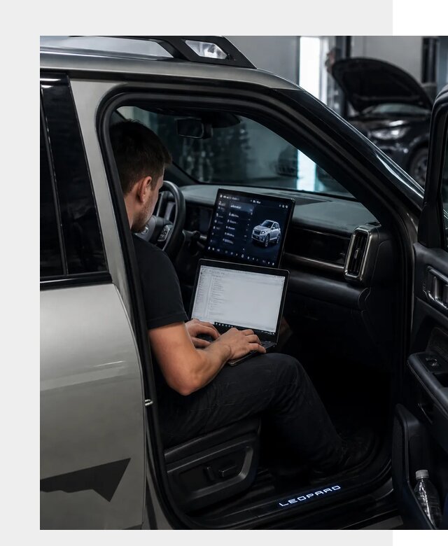 Русификация BYD Leopard 3 в Сестрорецке по цене от 20396 р. | ФастМобиль-Сст