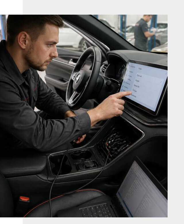 Профессиональная русификация BYD SONG Plus в Сестрорецке